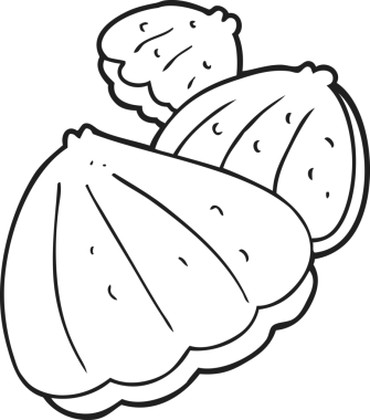 Bir insan tarafından çizilmiş siyah beyaz istiridye çizimi.