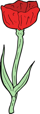 Bir insan tarafından çizilmiş gelincik.