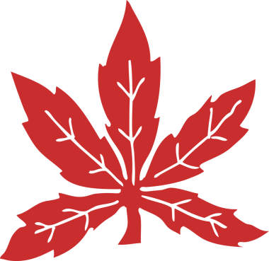 Bir insan tarafından çizilmiş düz renk çizgi film marihuana yaprağı