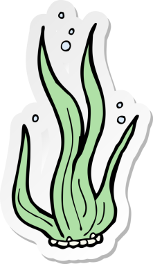 Bir insan tarafından çizilmiş bir deniz yosununun çıkartması.