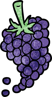 Bir insan tarafından çizilmiş üzüm demeti.