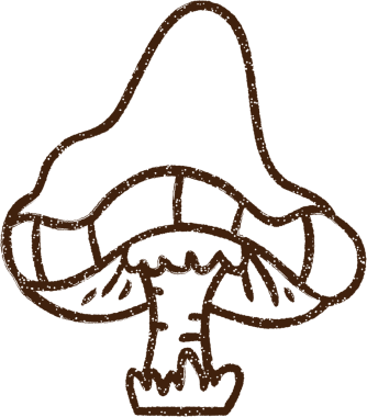 Bir insan tarafından çizilmiş mantar kömürü.