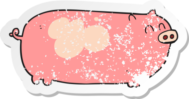 Bir insan tarafından çizilmiş bir domuzun gerilmiş çıkartması.