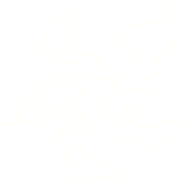 Bir insan tarafından çizilen bitki tebeşiri