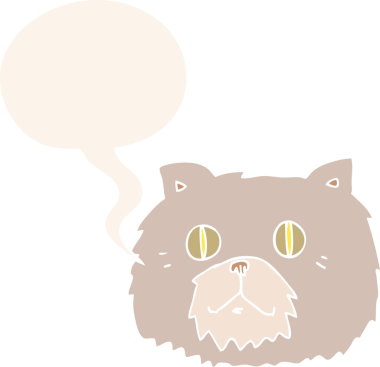 bir insan tarafından çizilmiş eski moda konuşma baloncuklu çizgi film kedisi yüzü