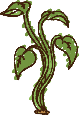 Bir insan tarafından çizilen Büyüyen Bitki Tebeşiri