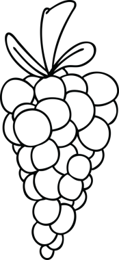 Bir insan tarafından çizilmiş bir demet garip üzüm çizimi