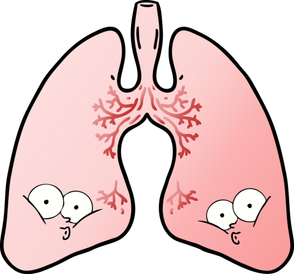 Bir insan tarafından çizilmiş karikatür ciğerleri.