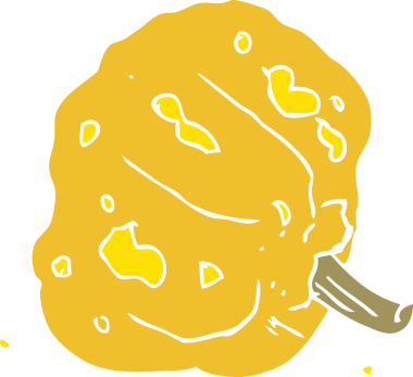 Bir insan tarafından çizilen kabağın düz renk çizimi