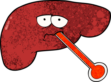 Bir insan tarafından çizilmiş sağlıksız karaciğer.