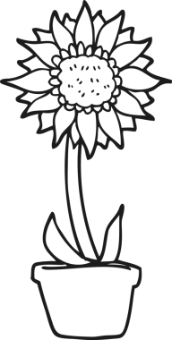 Bir insan tarafından çizilmiş siyah beyaz ayçiçeği çizimi.