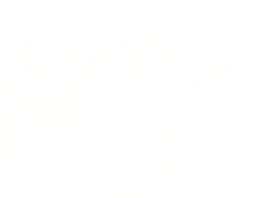 Bir insan tarafından çizilen balık tebeşiri.