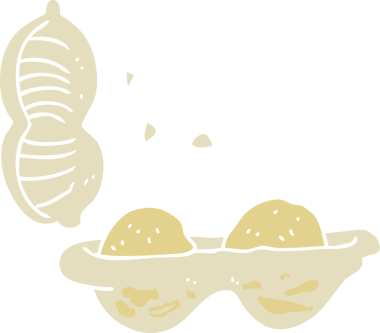 Bir insan tarafından çizilmiş yerfıstığının düz renk çizimi