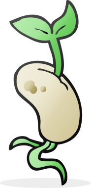 Bir insan tarafından çizilmiş serbest çizilmiş tohum tohumu.