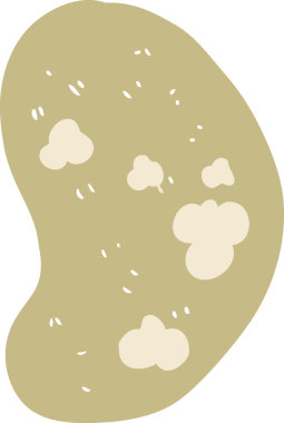 Bir insan tarafından çizilmiş patatesin düz renk çizimi