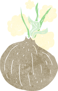 Bir insan tarafından çizilmiş karikatür soğanı.