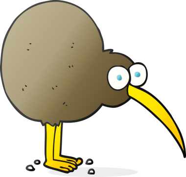 Bir insan tarafından çizilmiş serbest çizim kivi.