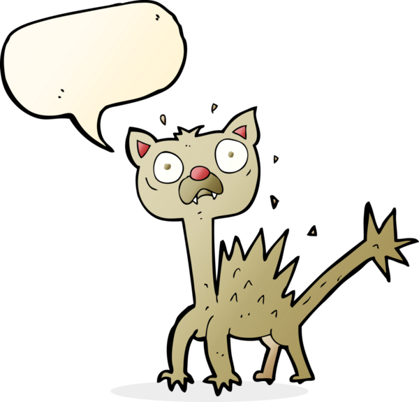 Bir insan tarafından çizilmiş konuşma balonlu korkak kedi çizgi filmi.