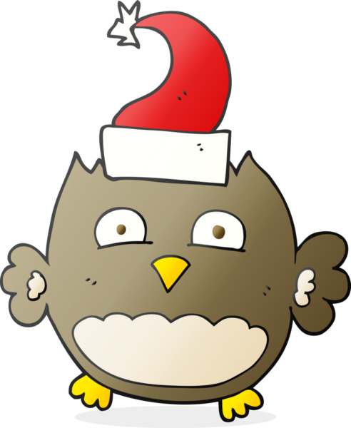 Bir insan tarafından çizilmiş Noel şapkası giyen baykuş çizimi.