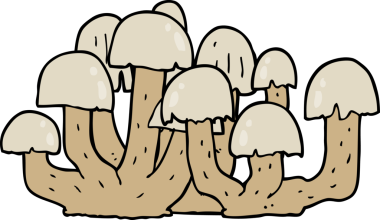 bir insan tarafından çizilmiş mantar mantarı