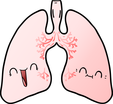 Bir insan tarafından çizilmiş karikatür ciğerleri.