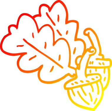 Bir insan tarafından çizilmiş bir palamutun sıcak çizgi çizimi