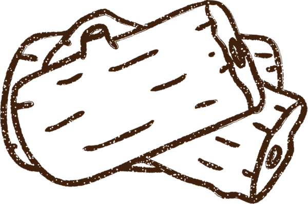 Bir insan tarafından çizilmiş odun kömürleri