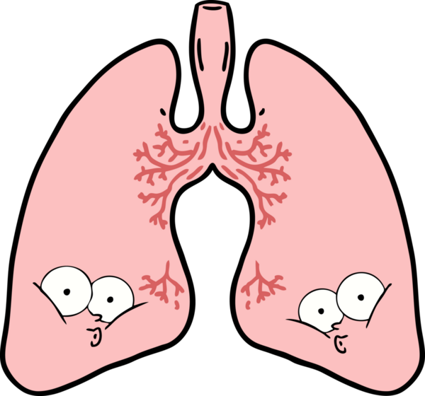 Bir insan tarafından çizilmiş karikatür ciğerleri.