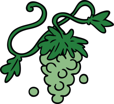 Bir insan tarafından asmaya çizilmiş üzüm karalaması.