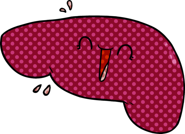 Bir insan tarafından çizilmiş karaciğer.