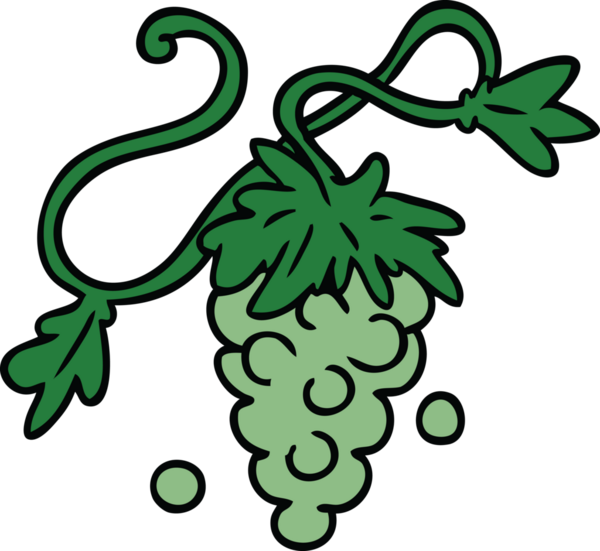 Bir insan tarafından asmaya çizilmiş üzüm karalaması.