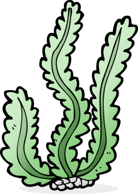 Bir insan tarafından çizilmiş karton deniz yosunu.