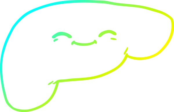 Bir insan tarafından çizilmiş karaciğerin soğuk gradyan çizgisi