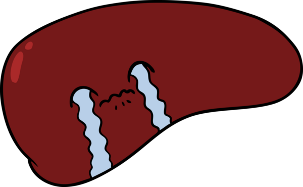 Bir insan tarafından çizilmiş karaciğer ağlaması.