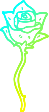 Bir insan tarafından çizilmiş beyaz bir gülün soğuk gradyan çizgisi.