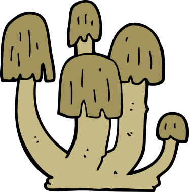 Bir insan tarafından çizilmiş mantarlar.