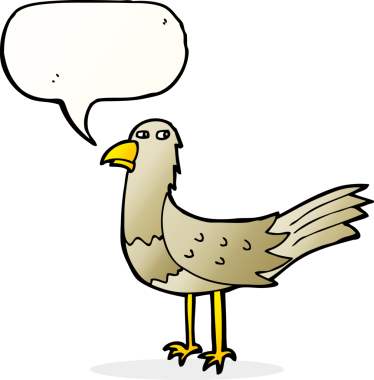 Bir insan tarafından çizilmiş konuşma balonlu çizgi film kuşu.