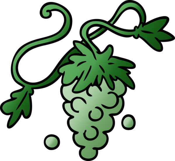 Bir insan tarafından asmaya çizilen üzümlerin el çizimi karikatürü.