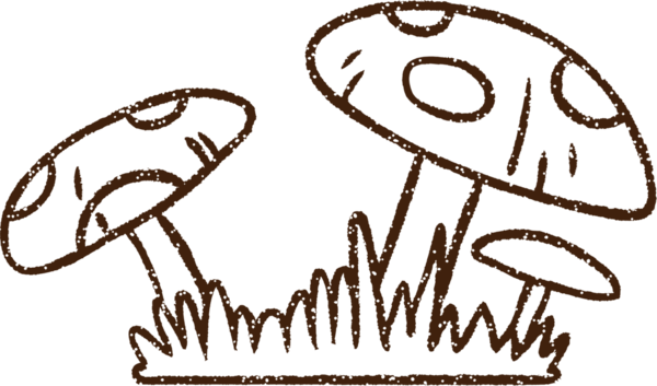 Bir insan tarafından çizilmiş mantar kömürü.