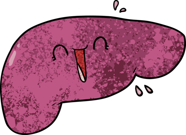 Bir insan tarafından çizilmiş karaciğer.