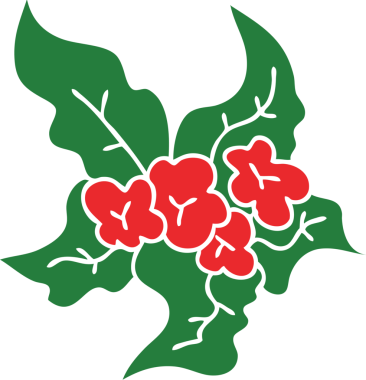 Bir insan tarafından çizilmiş tuhaf bir karikatür Noel çiçeği.