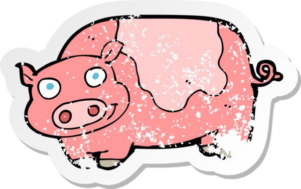 Bir insan tarafından çizilmiş bir domuzun gerilmiş çıkartması.