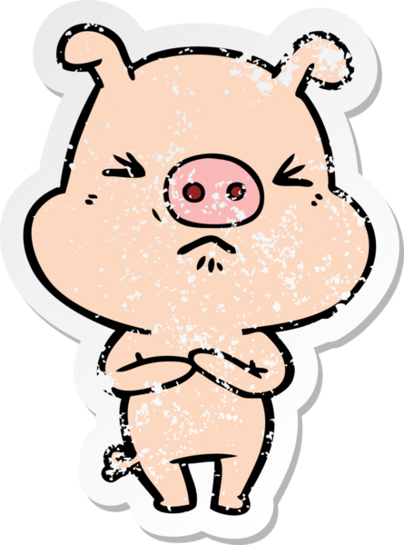 Bir insan tarafından çizilmiş kızgın bir domuzun sıkıntılı çıkartması.