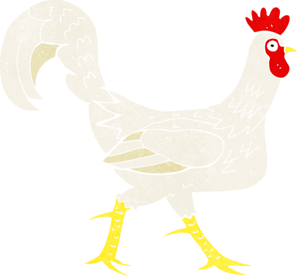 Bir insan tarafından çizilmiş bir horoz resmi.