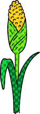 Bir insanın çizdiği koçandaki taze mısırın el çizimi karikatürü.