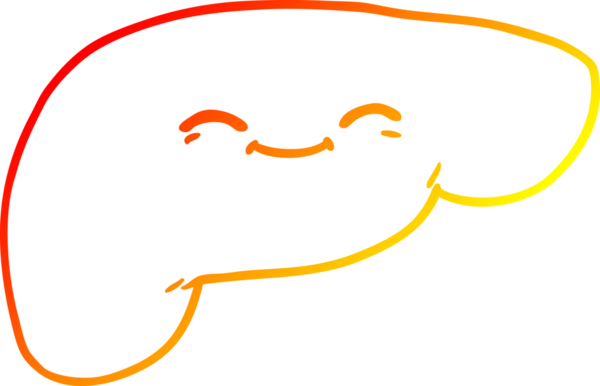 Bir insan tarafından çizilmiş karaciğerin sıcak gradyan çizimi