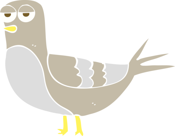 Bir insan tarafından çizilmiş güvercinin düz renk çizimi