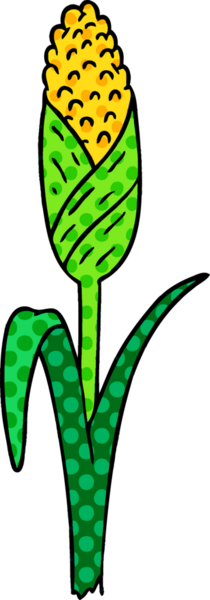 Bir insanın çizdiği koçandaki taze mısırın el çizimi karikatürü.