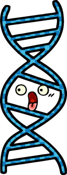 Bir insan tarafından çizilmiş bir DNA ipliğinin çizgi romanı.