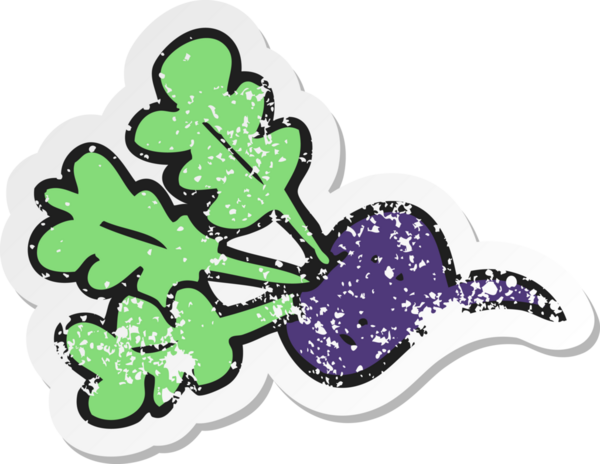 Bir insan tarafından çizilmiş pancar pancarının gerilimli yapıştırması.